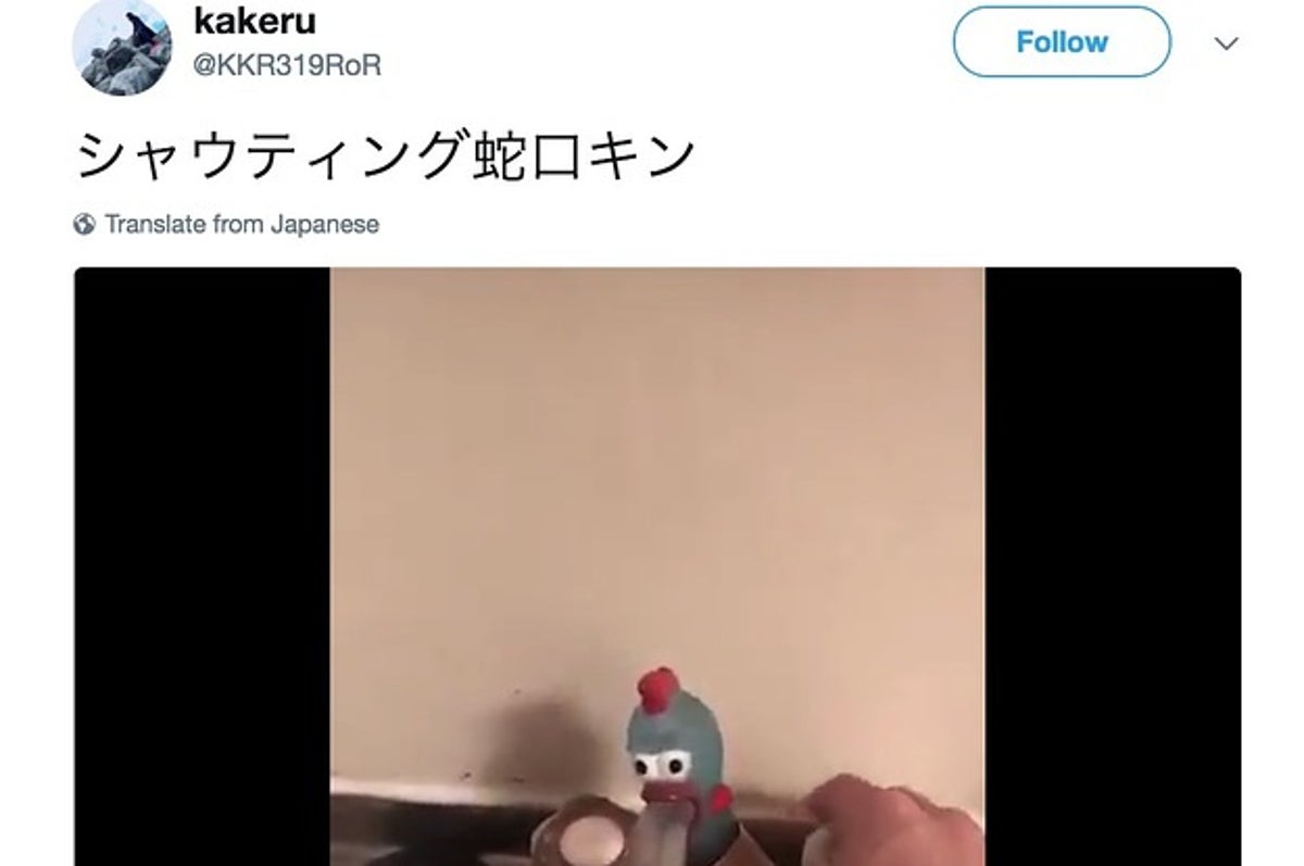 くだらなさすぎて笑ってしまう シャウティング蛇口キンの鳴き声