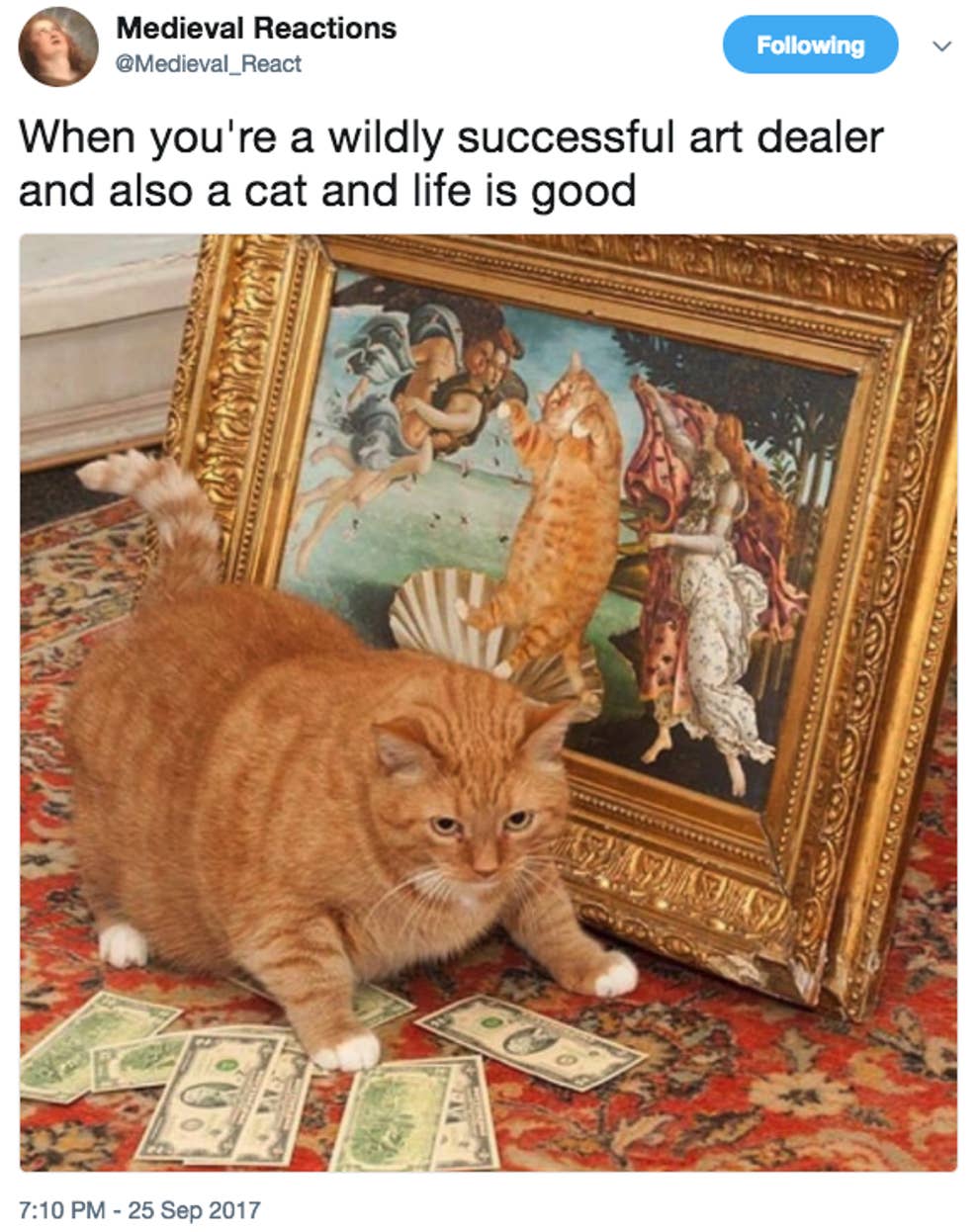 100 Pet Memes That Will Make You Lol Over And Over Again 100 Pet Memes That Will Make You Lol Over And Over Again