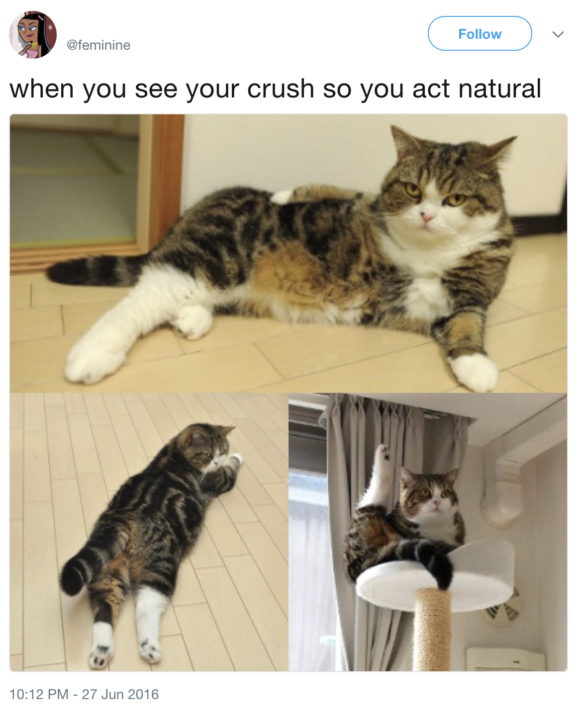 100 Pet Memes That Will Make You Lol Over And Over Again 100 Pet Memes That Will Make You Lol Over And Over Again