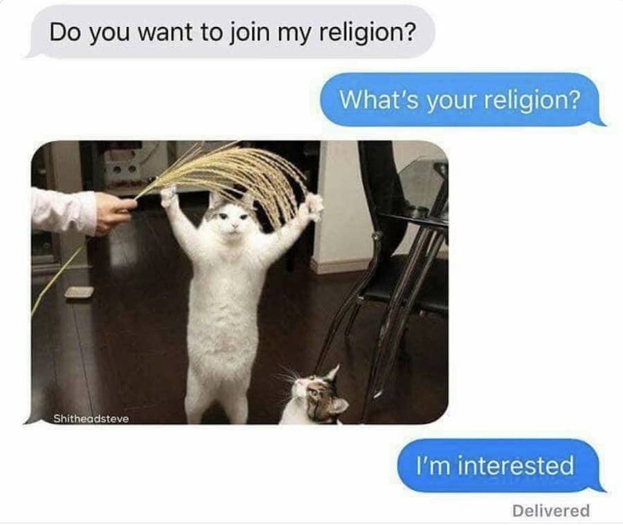 100 Pet Memes That Will Make You Lol Over And Over Again