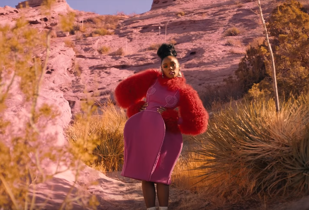 Thank you Janelle Monáe for blessing us with these vulva pants and your artistic brilliance.