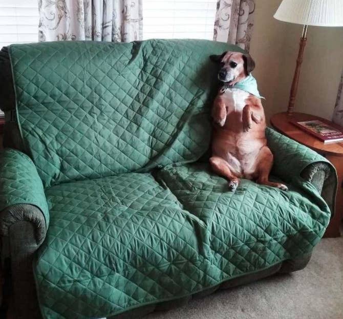 22 Little Ways To Actually Make Your Furniture Last Basically Forever