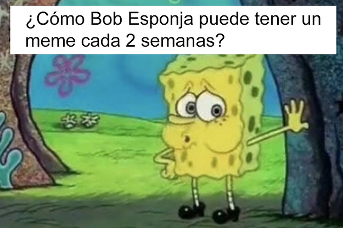 24 Cosas Que Solo Entenderas Si Estas Obsesionado Con Los Memes De Bob Esponja
