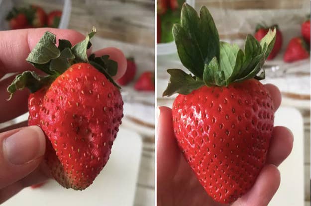 10 Kitchen Items We Re Obsessing Over This Month