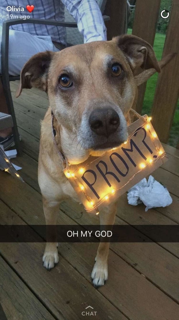 Will you go to prom with me? Boop if yes.