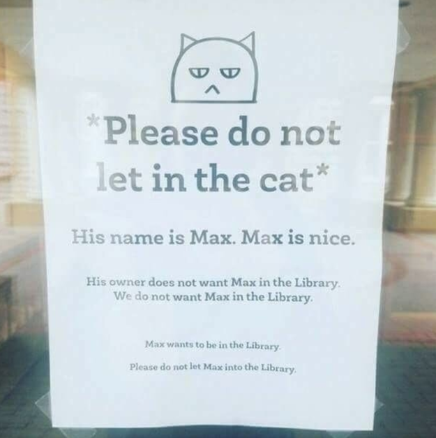 This literary cat: