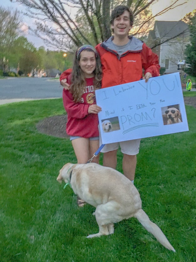 And finally, the dog promposal pic that truly means everything to me. 💖💖💖