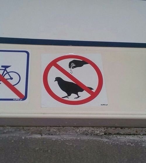 This sign encouraging you not to season the pigeons: