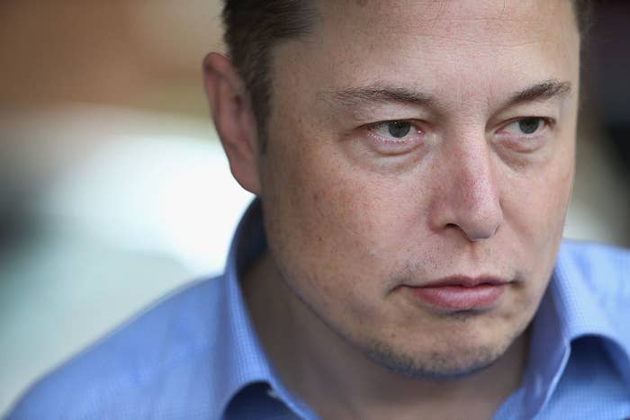 We Asked Some Of Elon Musk S Biggest Fans Why They Donated To Buy A Billionaire A Couch