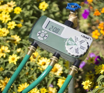three hoses attached to the timer surrounded by flowers
