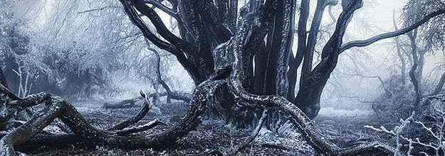 Get Sprueche magische orte Free