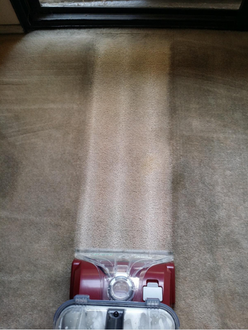 A vacuum using the cleaner and the carpet is drastically cleaner where the vacuum just cleaned