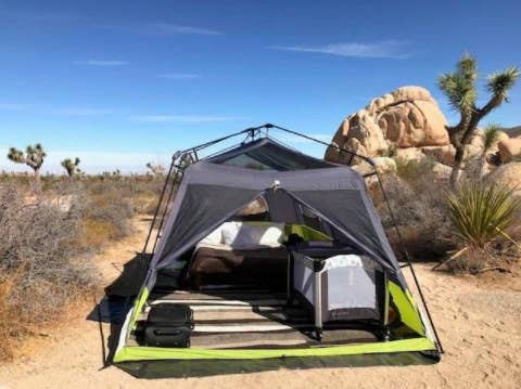 Core 12 Person Lighted Instant Cabin Tent & India