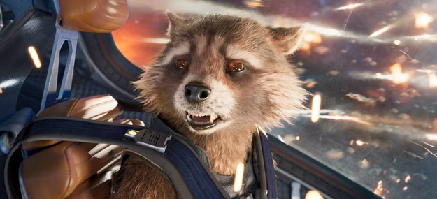 Rocket Raccoon