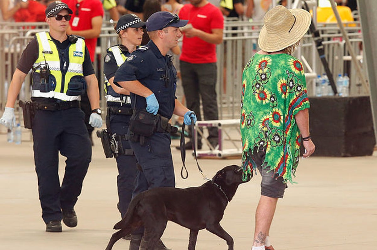 How Much Do Police Dogs Cost