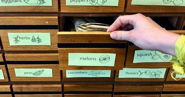 Seed Library Labeling What Are Seed Libraries And Why Are They Important? An Explainer