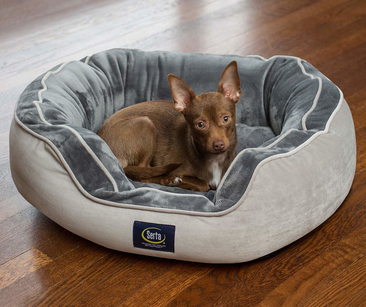 Biglots dog outlet beds