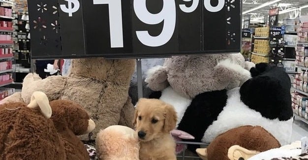 18 Strange Things That I Swear Have Actually Happened At