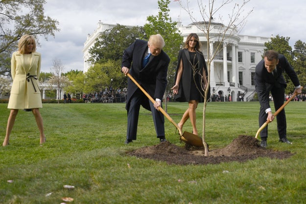 There was Trump and Macron planting a friendship tree on the White House grounds, which is just so objectively strange that a lot of people thought the pictures were photoshopped or staged.
