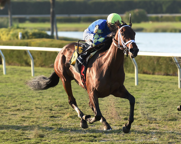 Is This The Title Of An Audible Audiobook Or The Name Of A Racehorse?