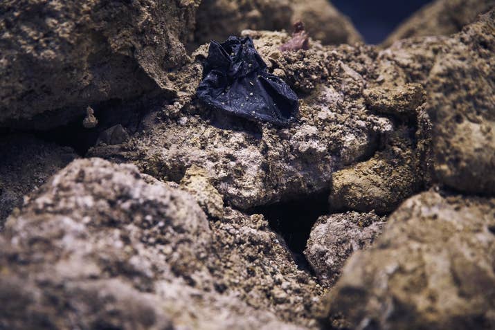 Fatbergs are formed from materials such as fats that we either chuck down the toilet or pour down the sink. Fatberg Autopsy, made in collaboration with Thames Water, will break down 5 tonnes' worth of a 750-metre-long fatberg that was formed near London's South Bank. In the show, scientists discover that nearly 90% of a fatberg sample was formed out of palmitic acid or oleic acids, which are commonly found in cooking oils or olive oil.They also found these delightful items that you shouldn't look at during your lunch.