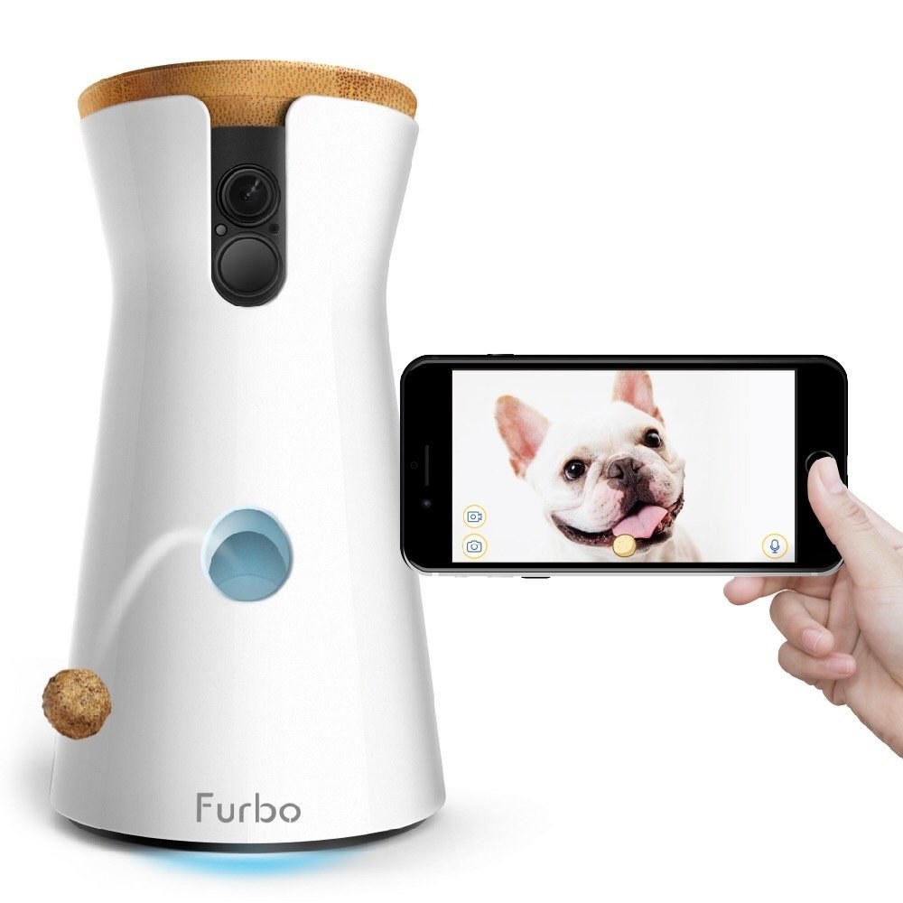 furbo dog camera target