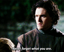 "Never forget what you are. The rest of the world will not. Wear it like armor, and it can never be used to hurt you."—Game of Thrones