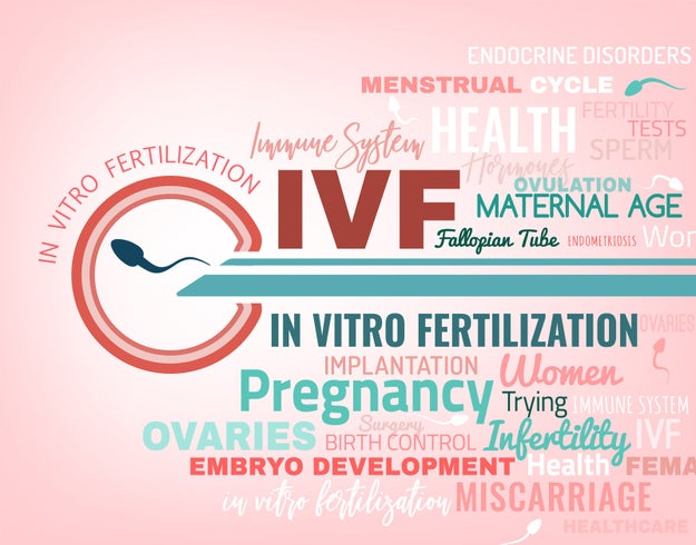 For instance, maybe you simply want to know what exactly is IVF (in vitro fertilization)?