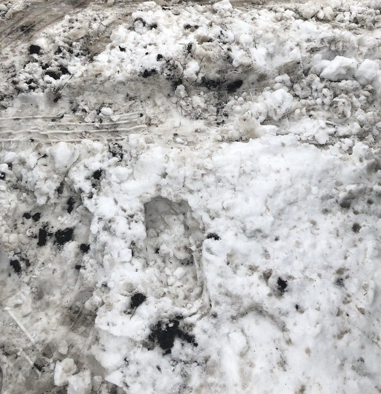 Dirty snow that looks like ice cream until you notice the tire tracks