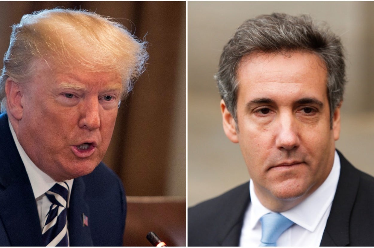 Trump Now Says Michael Cohen Represented Him In The Stormy Daniels Case