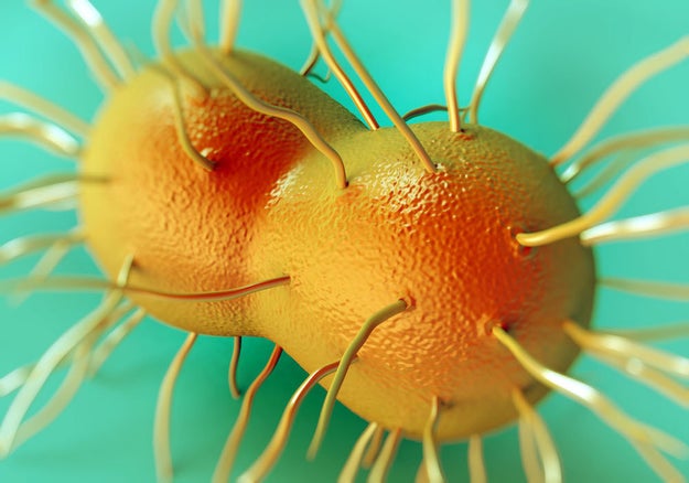 At least three cases of "super gonorrhea" have recently been reported in the UK and Australia.