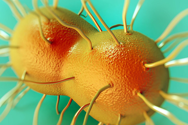 Coronavirus Testing State By State