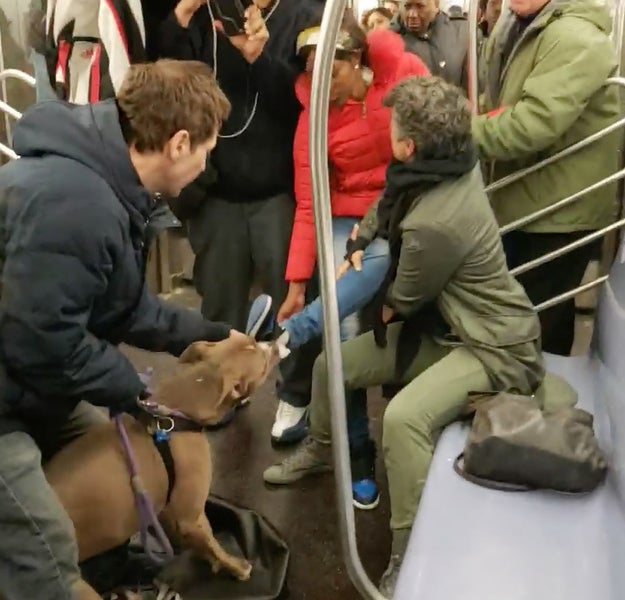 A 53-year-old Brooklyn man whose pit bull bit was caught on film holding a woman's foot in its mouth on a New York City subway has been arrested, a police spokesperson confirmed to BuzzFeed News.