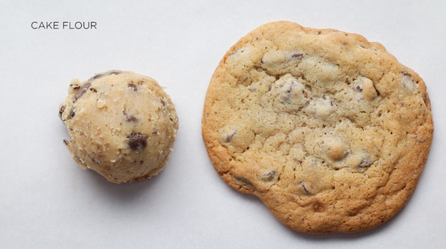 Cake flour has the least amount of protein and gluten of the three flours. It gave a much more delicate cookie — which also spread more than the other two.