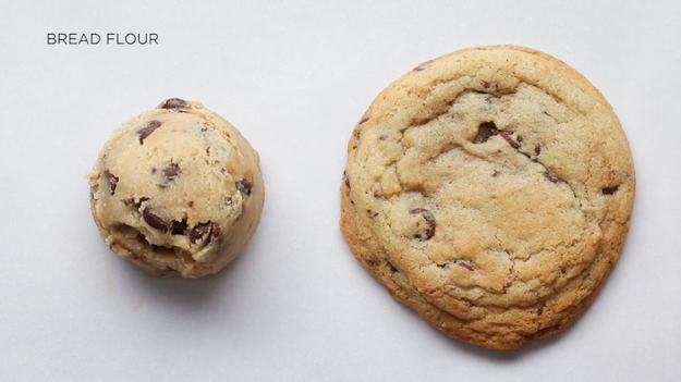 Bread flour has more protein, and therefore more gluten, than the other two. The cookie we baked using bread flour was much chewier than the others.