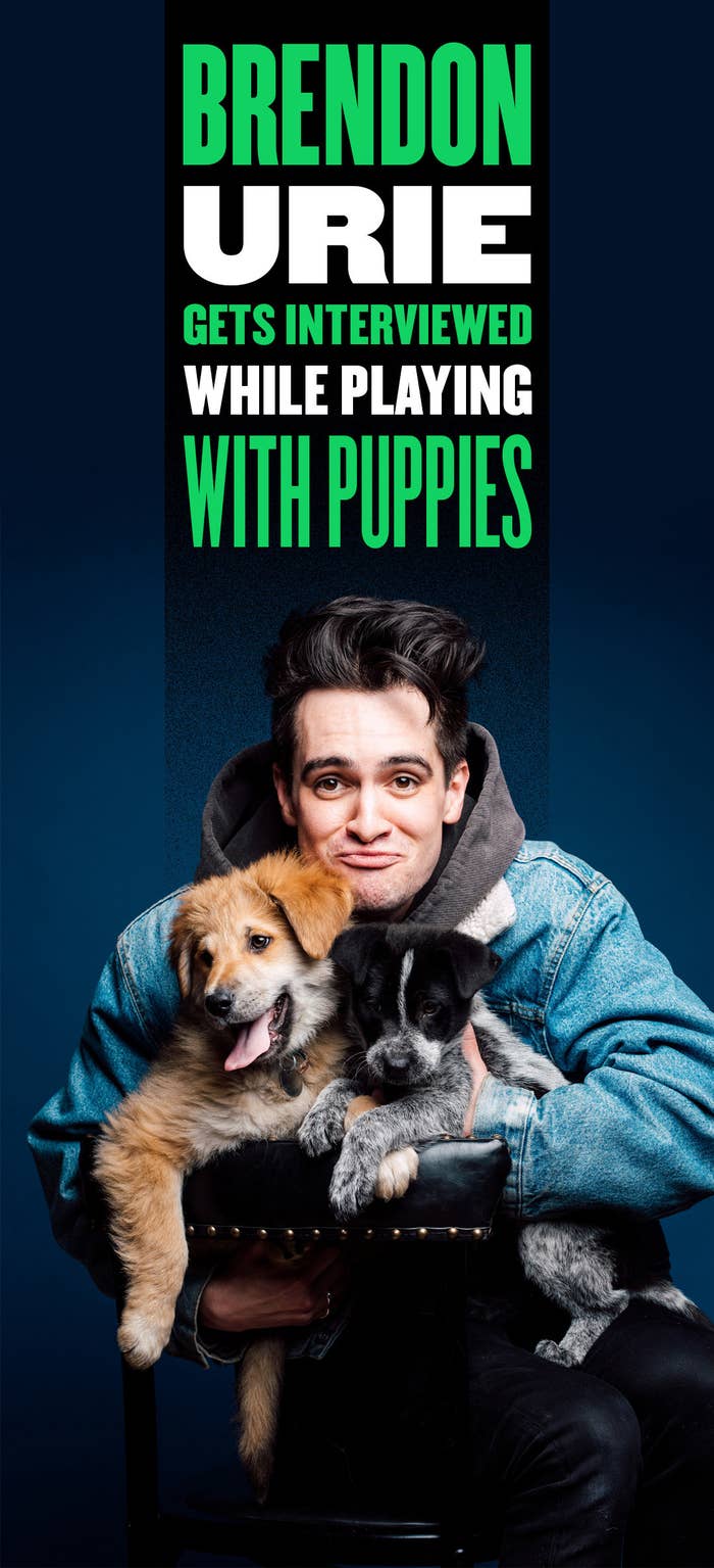 Brendon Urie Played With Puppies While Answering Fan Questions And