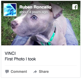 Roncallo's Facebook posts indicate that he has been the dog's owner for at least four years.