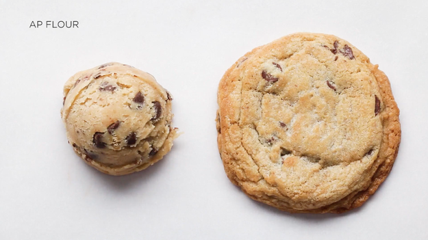 All-purpose flour is your basic baking flour — aka the flour used most often in traditional chocolate chip cookie recipes.