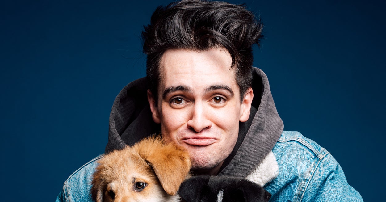 Brendon Urie Played With Puppies While Answering Fan Questions And It'...