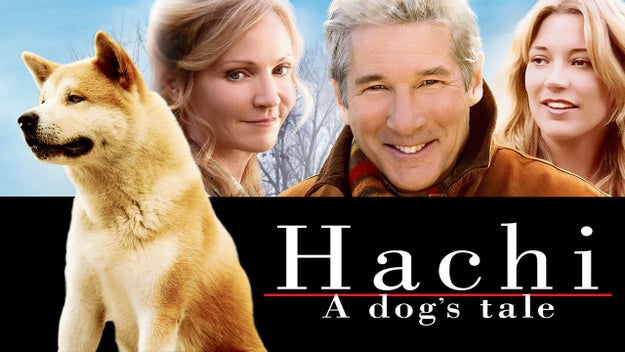 Hachi: A Dog's Tale