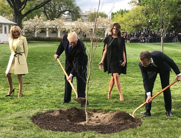 Wait, no, you can't have missed it, because the four of them became a meme when they basically reenacted a scene from Desperate Housewives by planting a tree.