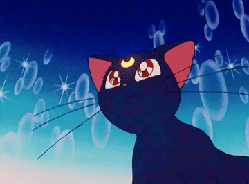 16 Facts That All Self Respecting Sailor Moon Fans Should Know