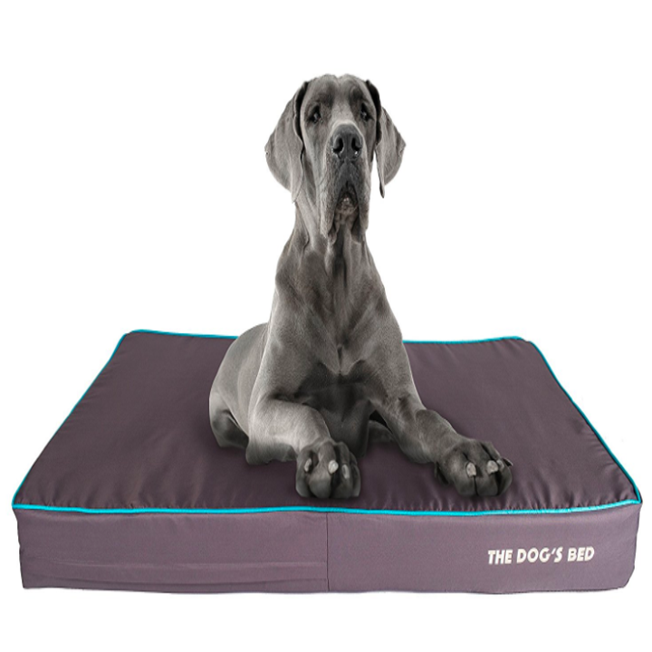 21 Of The Best Dog Beds You Can Get On Amazon