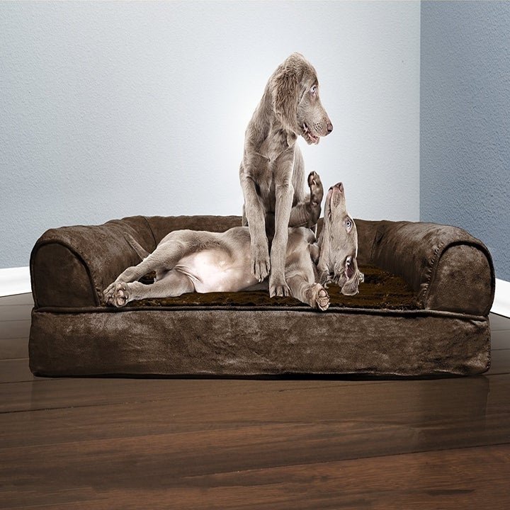 21 Of The Best Dog Beds You Can Get On Amazon