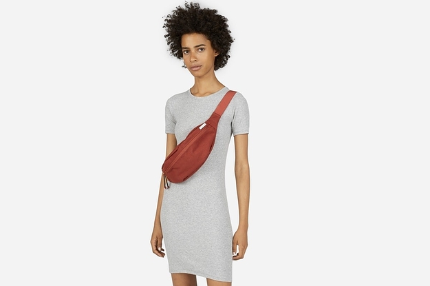 Dress 2025 fanny pack