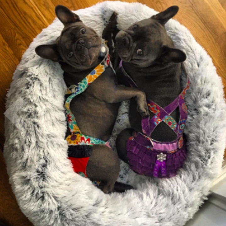 21 Of The Best Dog Beds You Can Get On Amazon