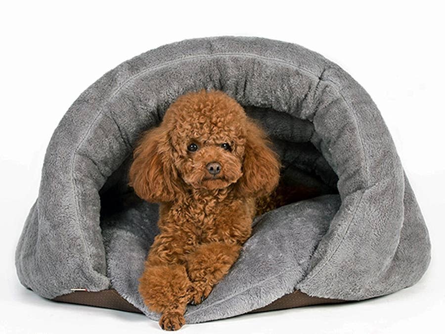 21 NCAA / MVP Dog Bed ideas  dog bed, mvp, comfortable dog beds