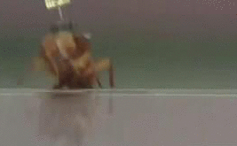 Você pode saber mais sobre isso aqui!