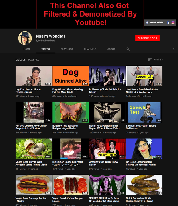 On another YouTube channel that appeared to belong to Aghdam, where she mostly posted about animal rights and veganism, a large banner declared the channel had been "filtered and demonetized."