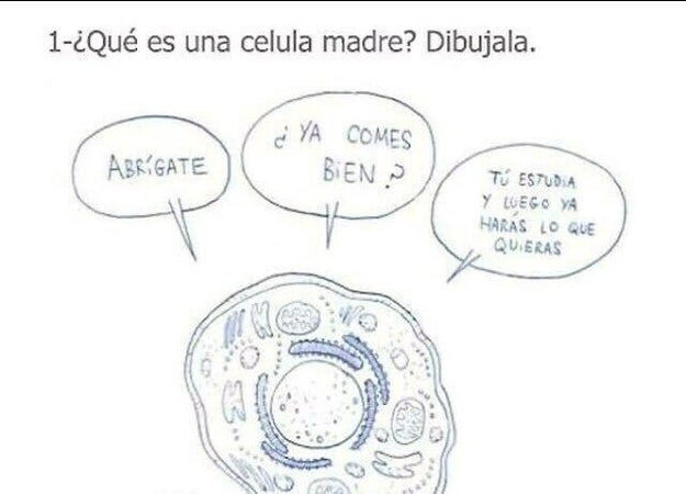 Este futuro médico.